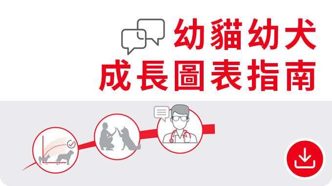 幼貓幼犬成長圖表指南。