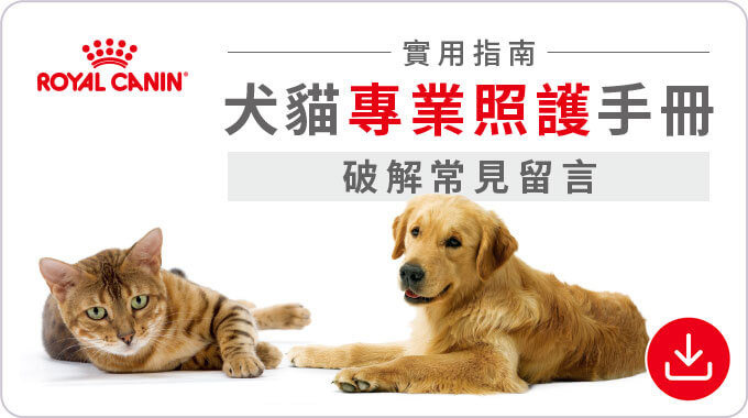 實用指南-犬貓專業照護手冊-破解常見留言。