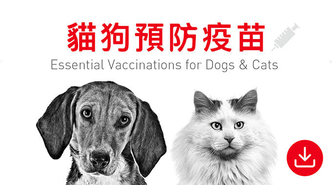 貓狗預防疫苗。