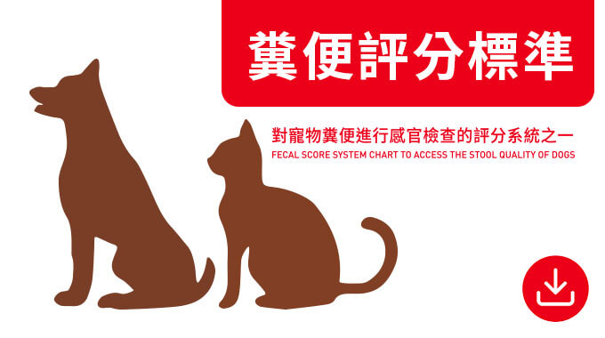 糞便評分標準。
